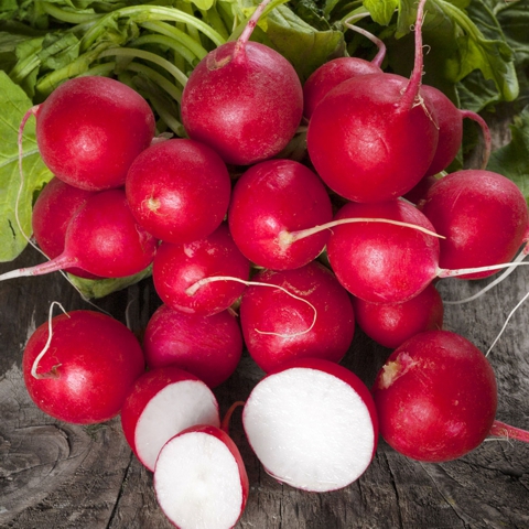 Rabanitos